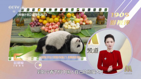 精品成人乱色一区二区